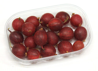 macro rouge fruit