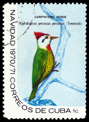 Stamp.  Cuban green woodpecker.