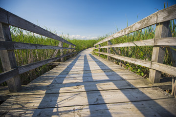 Wooden walkway on the grass