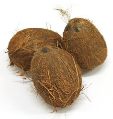 noix de coco