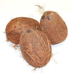 noix de coco