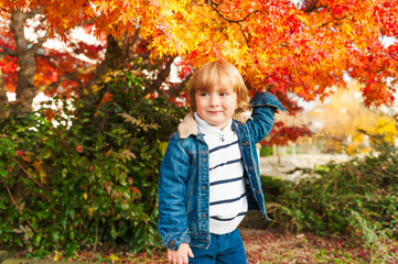 Autumn portrait of a cute toddler boy, wearing denim coat and warm pullover, playing with bright maple leaves
