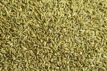 Closeup photo of green cumin.