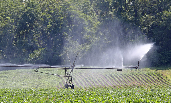 Irragation System
