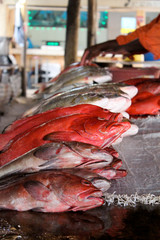 Fototapeta na wymiar Fish Market