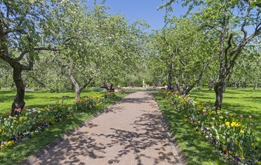 Alley in the Park.