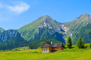 Wooden house on green meadow with Tatry Bielskie Mountains in background in summer, Slovakia