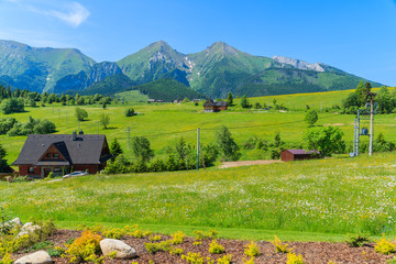 Fototapeta premium Drewniane domy na zielonej łące z kwitnącymi kwiatami z Tatrami Bielskimi w tle latem, Słowacja