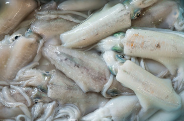 Closeup fresh squid in seafood market , Thailand
