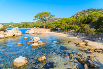 Famous Palombaggia beach with green pine tree, Corsica island, France