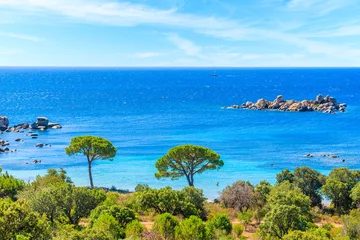 Photo sur Plexiglas Plage de Palombaggia, Corse View of famous Palombaggia beach with pine trees and azure sea, Corsica island, France