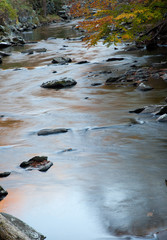 Mountain stream over rocks in the fall