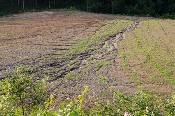 Küchenrückwand glas motiv soil erosion on a cultivated field after heavy shower © lucag_g
