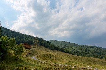 Isolated wooden house on the mountains with forest in background