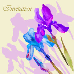  Beautiful iris flower, postcard