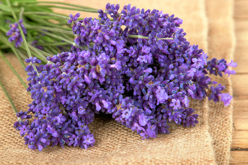 Lavendel