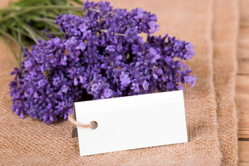 Lavendel