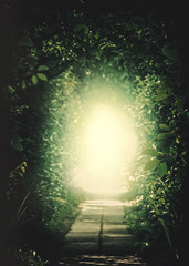 Teleport to another Universe. Tunnel In the Forest. Natural back