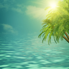 Summer trip backgrounds with palm tree