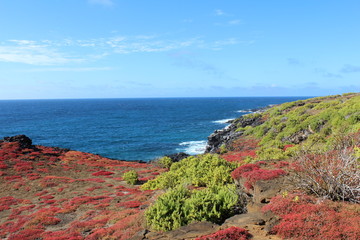 Island Coastline