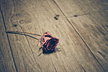 dried red rose on wood plank floor