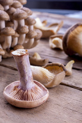 Mushrooms mixed shot on a wooden background at an angle portrait