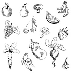 Drawn fruits and vegetables. Vector illustration
