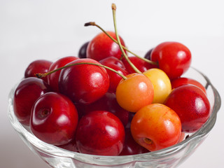 cherries in a vase on white background