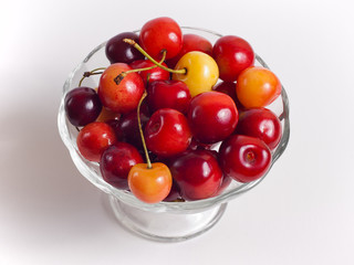 cherries in a vase on white background