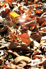 School bus toy model on field of autumnal leaves.