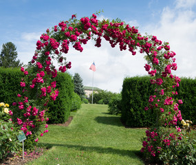 Rose Archway
