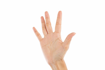 Woman hands on white background