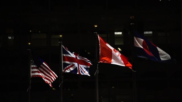 National flags blowing at night
