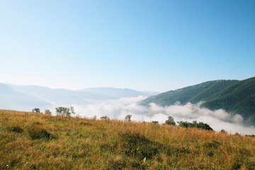Morning fog in the mountains