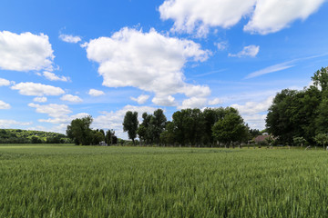 the landscape in france