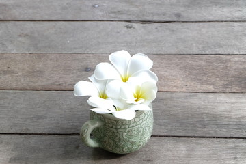 white plumeria in a cup on a wooden background