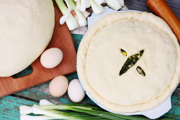 Homemade pie with onion