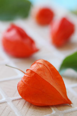 physalis of the genus Solanaceae, Beautiful orange flashlight for scenery