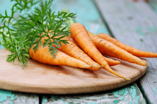 juicy small carrots