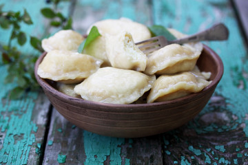 Dumplings with cottage cheese, close-up