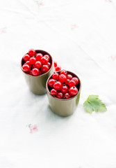 Red currants in green glasses