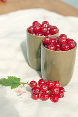 Red currants in green glasses