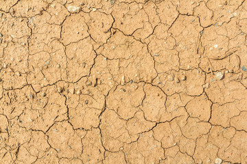 Dry cracked Land