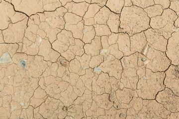 Dry cracked Land