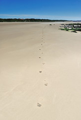 Fototapeta na wymiar traces de pas sur la plage