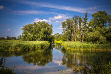 Die Spree bei Lübben in Brandenburg