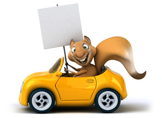 Fun squirrel