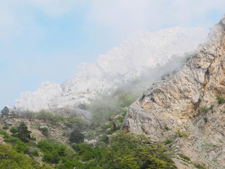 Fototapeta premium fog in the mountains. crimea