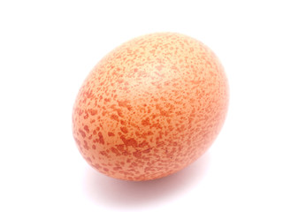 egg on a white background