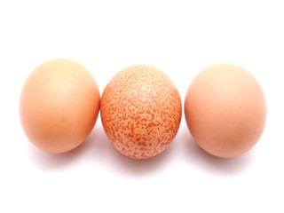 egg on a white background